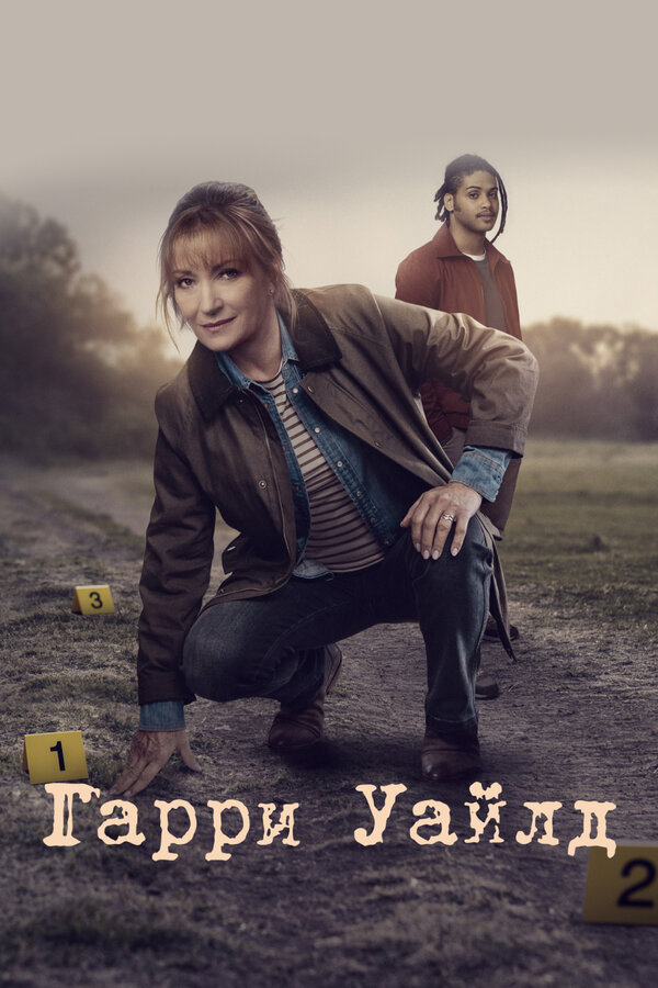 Гарри Уайлд постер - смотреть онлайн